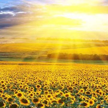 《皮肤深处》Steam版首映：沉浸式一指射击