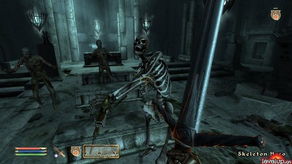 上古卷轴4：湮灭重制版陶德NPC