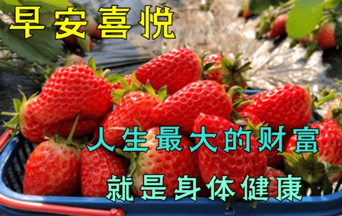 丝袜隐秘用法，擦边动态图大满足