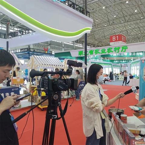 2023年最高评分前三游戏：独立团队匠心之作