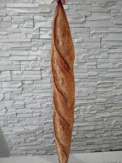 《光与影》团队致意：法棍大受欢迎！