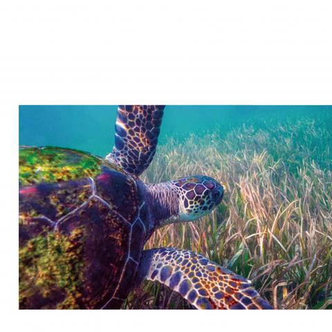 《四海兄弟：故乡》17+评级，内购武器核心解析