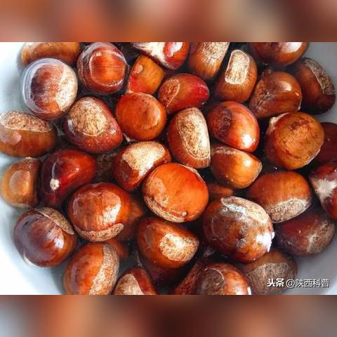 PS5主机灰尘堆积如羊毛聚会！你多久未清理？