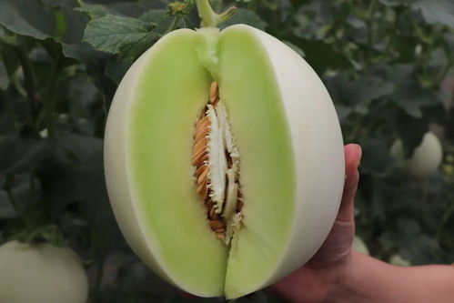 《超级太空俱乐部》Steam好评率94%，价值47元喜加一