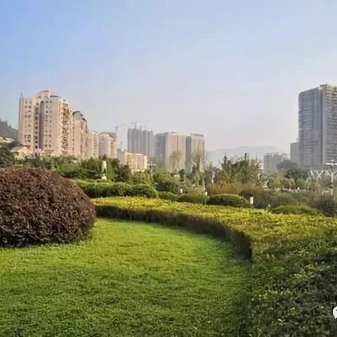 20周年重磅设计！曝苹果2027年推出真全面屏iPhone