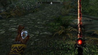 《上古卷轴4》重制版仅一周销量全美排名第三