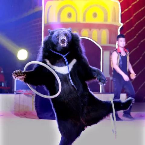 5月港服PS+会免现已上线!爽玩小丑牌、方舟生存飞升