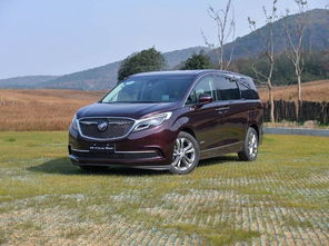 别克GL8陆尚上市两周 大定已破10000单！