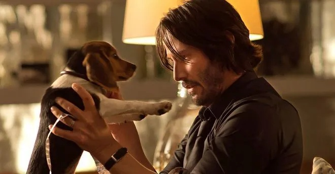 《疾速追杀外传》打戏幕后：安娜与基努苦练对手戏