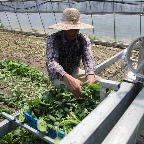 PS5变蚊子收割机！机内尸横遍野 竟是灯光惹的祸