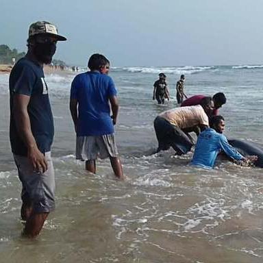 岛哥哥详解！《死亡搁浅2》昼夜循环影响潜行与探索