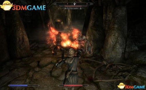 《上古卷轴4：重制版》玩家遭遇19年Bug热议