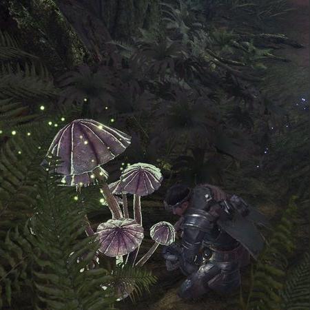 《怪物猎人：荒野》宣传五月底更新 全新历战个体将来临!