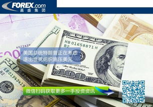 《双影奇境》改编权竞拍报价破百万美元