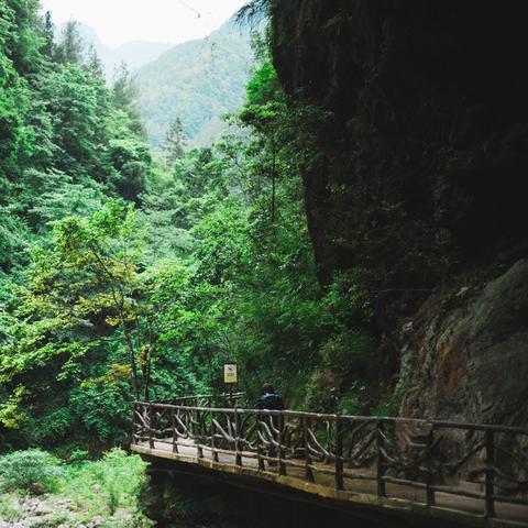 3A游戏都是一个模子？《恶意不息》CEO怒喷开发模式