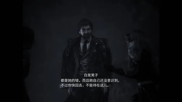 《光与影：33号远征队》双男主MOD：他可以不用死！