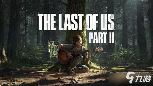 《最后生还者2》艾比“爆头”T恤Mod：配图较为地狱