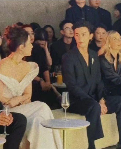 晚宴上的刘亦菲 都不知道啥是火彩的动态图