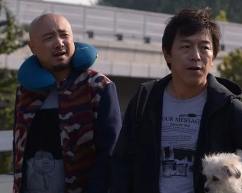 姜文新片更名为《你行你上》 马丽、葛优、赵本山主演