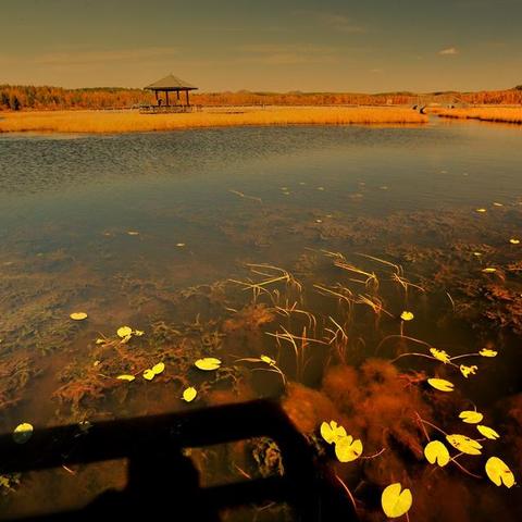 《红色沙漠》新预告曝光！战斗体验超刺激