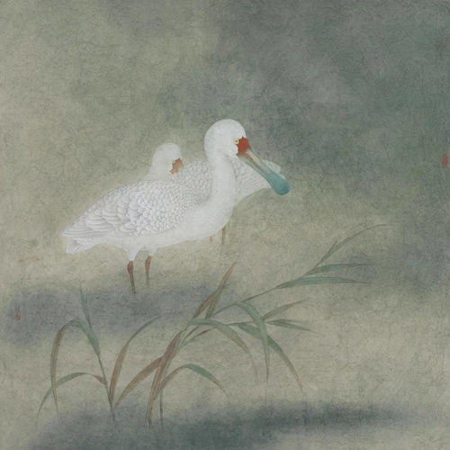 《刺客信条：影》艺术图 信长妹妹英姿飒爽