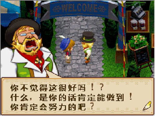 《牧场物语：风之繁华集市》牧场生活系统攻略