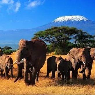 《狂野星球复仇记》大受欢迎：发售10天玩家数破100万