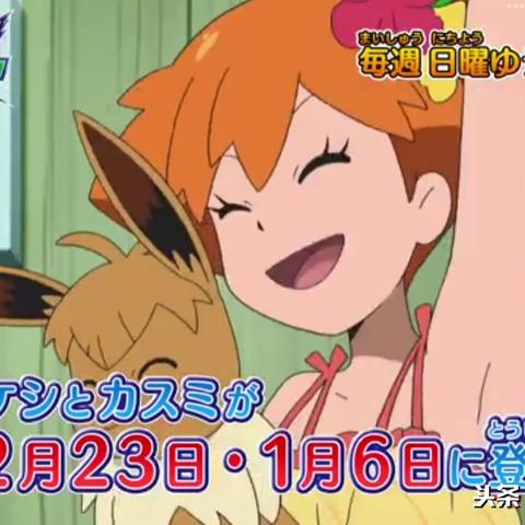 月亮伊布&太阳伊布毛绒玩具开售