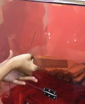 只要到22岁就分一套房 这回村里真发金条的动态图