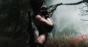 《光与影：33号远征队》吕涅猫耳巫师装Mod：身材超出色！