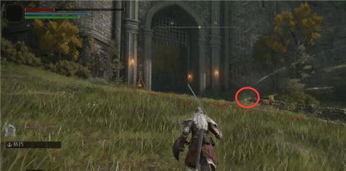 艾尔登法环：唤灵师预告 亡者集结