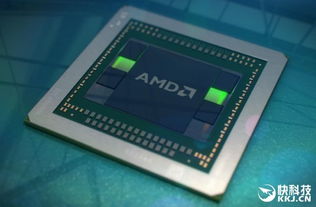 效仿英伟达！AMD中国特供降规版GPU最快下半年问世