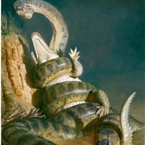 《暗黑巨兽腹中惊险挑战！毁灭战士黑暗时代全攻略揭秘》