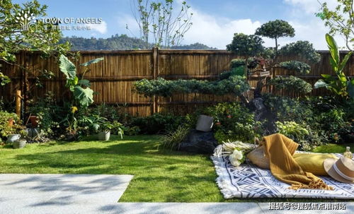 多洛可小镇烹饪攻略：揭秘快速赚钱秘诀！