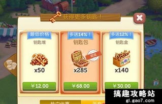 多洛可小镇烹饪攻略：揭秘快速赚钱秘诀！