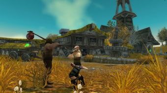 魔兽世界怀旧服西部荒野食腐鸟藏匿之谜，速来一探！