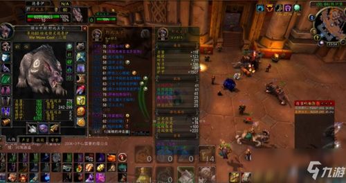 《魔兽11.1德鲁伊火花装备攻略：揭秘最佳选择！》