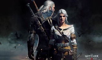 《巫师4》新技术展示非核心内容