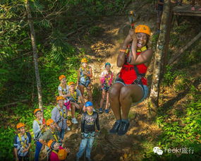 《揭秘！造作海岛丛林岛：敌人掉落大揭秘+图鉴》