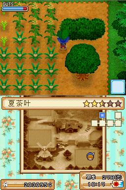 《牧场物语：风之繁华集市》煦风镇节日盛典