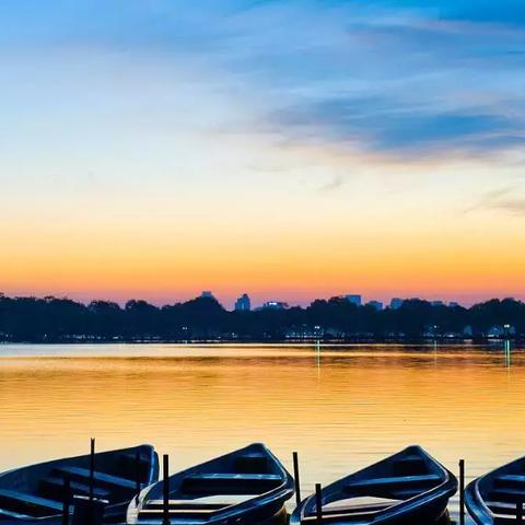 007：曙光独立世界观，非杀手系列联动