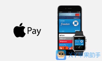 索尼Playstation商店更新现漏洞，Apple Pay轻松跨区购