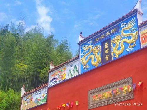 《NS2资格难求！日本母亲怒购周边大集合》