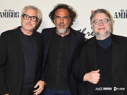 成龙洛迦诺电影节获终身成就奖：全球影迷致敬传奇