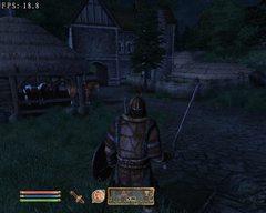 《上古卷轴4：湮灭》3级速通攻略，一问三不知全解析