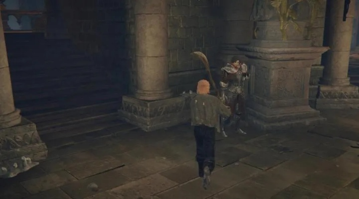 《艾尔登法环》独享任务，角色单人冒险揭秘