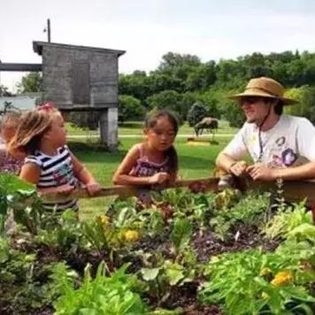 《动物栏：桌面牧场》史低狂欢，撸宠挂机游戏来袭！
