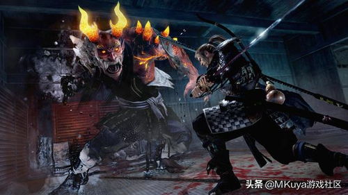 《仁王3》体验版补丁升级：多人模式bug全修复！