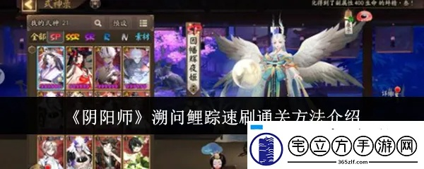 《阴阳师》溯问鲤踪阵容搭配攻略，高效阵容推荐！