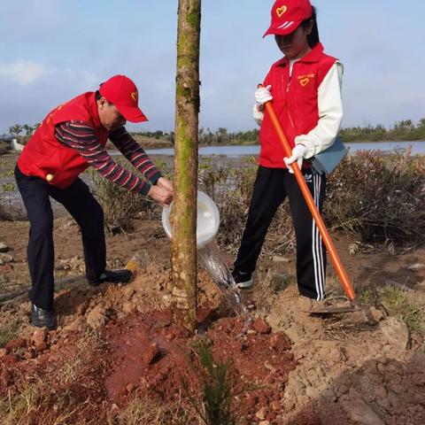 《家园卫士》时装攻略：揭秘最适合你的战袍！